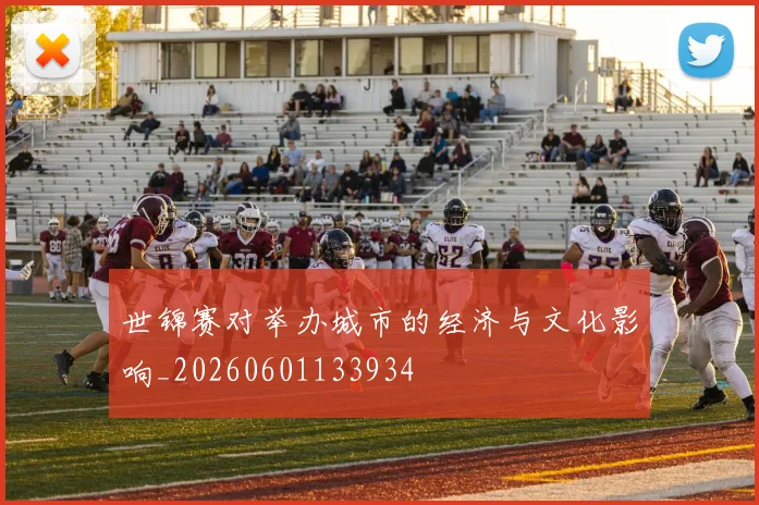 世锦赛对举办城市的经济与文化影响_20260601133934