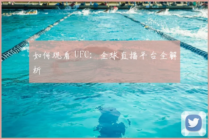 如何观看 UFC:全球直播平台全解析